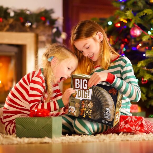 Fossil Dig Kit - Excavate 12 Prehistoric Fossils(1 Set) - Picture 3 of 8